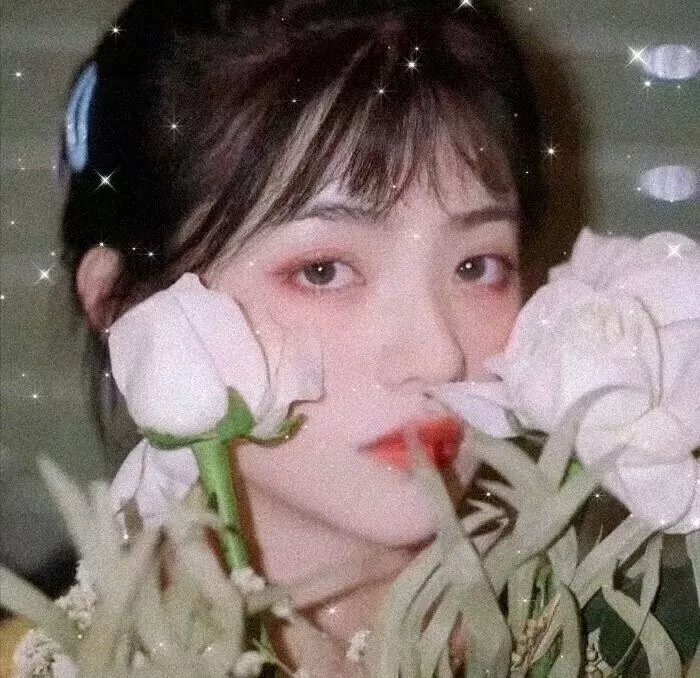 禁宫情妓